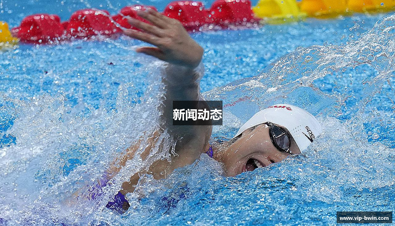 新闻动态